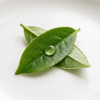 L-Teanina